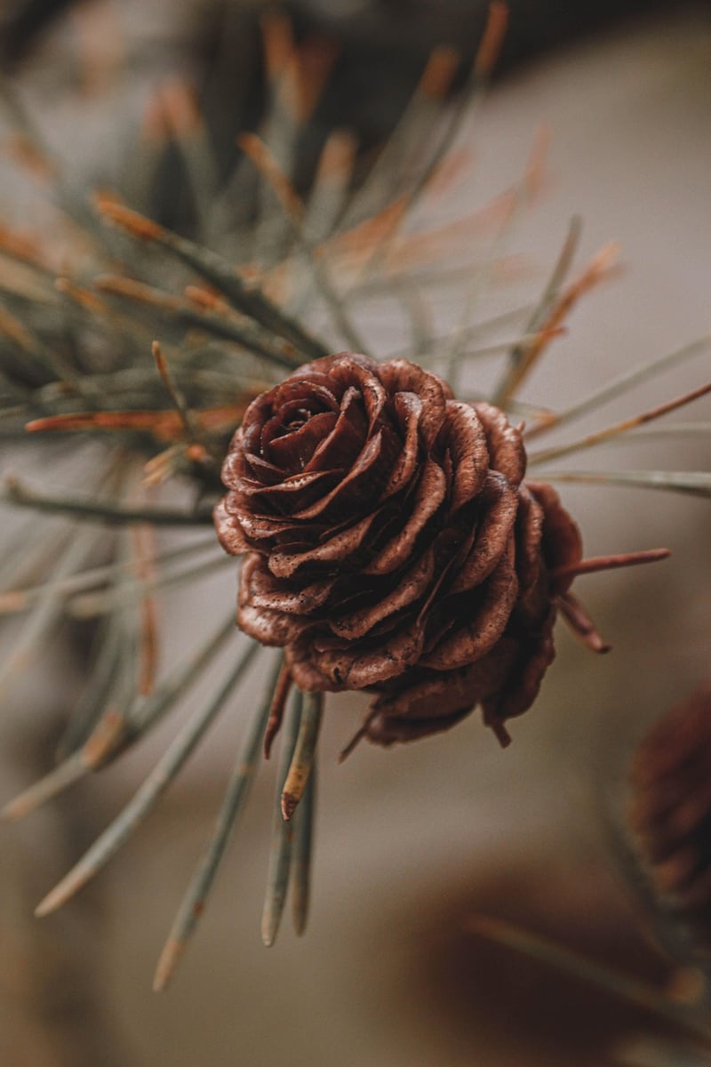 Forest Keepsakes