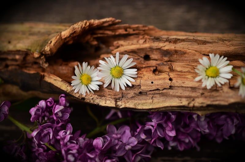Woodland Decor